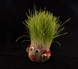 Germinated wheat, a tradition of Saint Andrew’s Day. Handmade doll stuffed with wood shavings