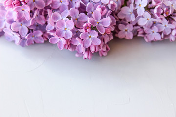 Obraz premium Lilac twigs on the background