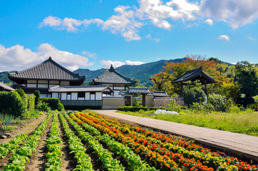 奈良県　明日香村