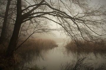 Jezioro Raduńskie w Wałczu kładka we mgle.