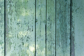 Fototapeta na wymiar the wooden background of old boards is painted blue. The paint flakes off and flakes off with age. Rustic style. Shabby chic