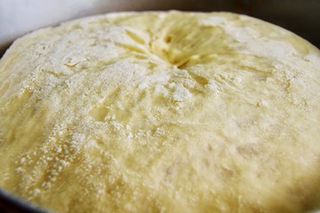 fresh baked bread