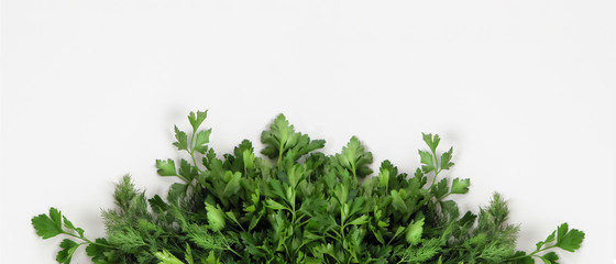 A large bunch of fresh organic green parsley, dill on a white background. Garden greens, spicy herbs, ingredients for cooking. Banner. Close-up, top view, copy space.
