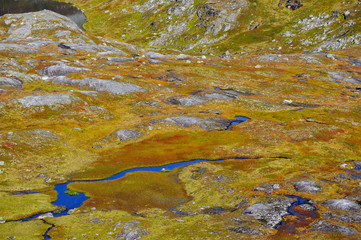 Tundra in der Nähe vom  Geirangerfjord