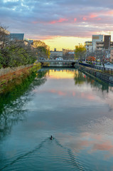 Fototapeta premium 京都 岡崎の琵琶湖疏水