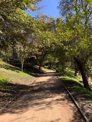 otoño en santiago de chile