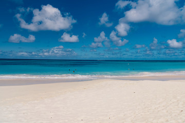 Caribbean beach on the island of Anguilla the most beautiful sea in the Antilles