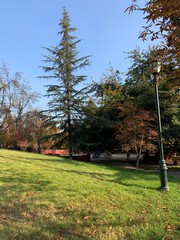 Obraz premium otoño en santiago de chile