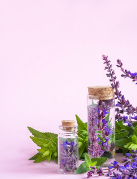 Bottles with essential oil and fresh
sage flowers on pink background
Homeopathy.