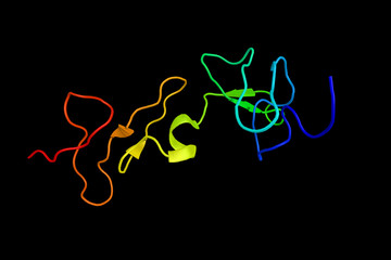Protein S, a vitamin K-dependent plasma glycoprotein synthesized in the liver. A cofactor to Protein C in the inactivation of Factors Va and VIIIa. 3d rendering