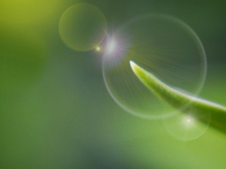 abstract green background with circles Len flare  