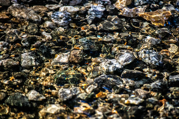 Stones at the bottom of a spring melting stream