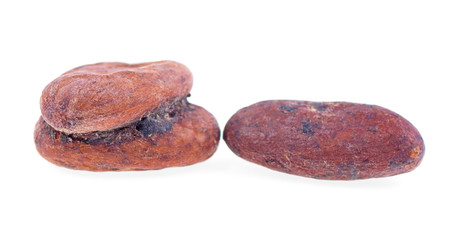 cocoa beans on a white background, isolated.