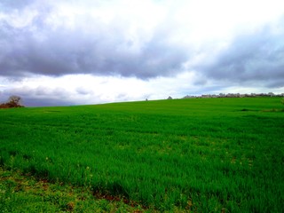 Nature, landscape, spring, green.