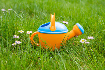toy watering can on the background of daisies
