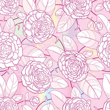 Seamless pattern with outline open Camellia flower, bud and ornate leaf in pastel pink on the white background.