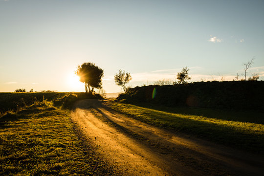 the golden light of the countryside path