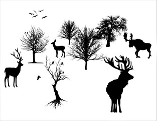 vector illustration of set of silhouettes of trees and wild animals on a white background