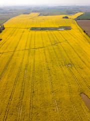 aerial photo of yellow rape field in denmark, cloudy day