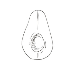 Аvocado. Botanical illustrations in the engraving style. Collection of hand-drawn flowers and plants. Half аvocado. Tropical plant.