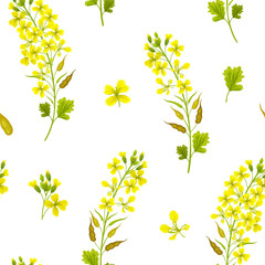 Seamless background of flower and leaves mustard. Vector illustration.