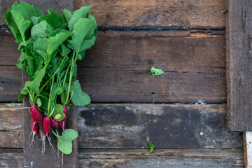 Radish with a summer house on a wooden old background.