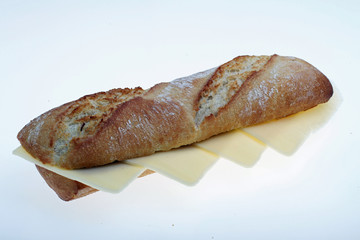 Cheese sandwich for lunch white