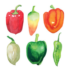 Hand drawn watercolor set of peppers on a white background. Paprika, purira, orange pepper, snow white and green pepper, frigitello.
