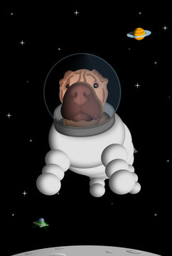 Shar pei floating in the sky