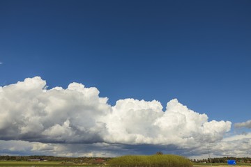 Gorgeous view of natural landscape on a summer day. Forest, blue sky and clouds converging on the horizon. Beautiful colorful nature background.