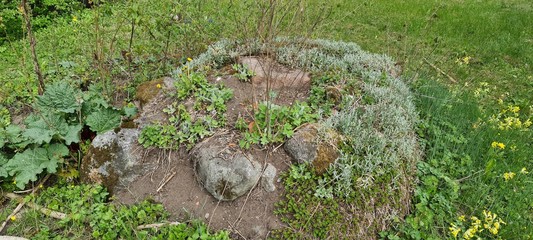 Close up view of huge rock covered with green moss on tall forest trees background.