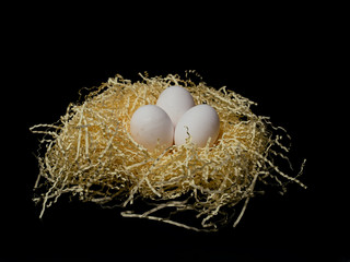 Natural eggs in nest. Best eco food.
