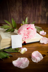 peony pink beautiful flower, book, empty card