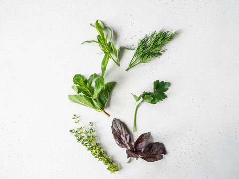 Bunches of fresh raw herbs - mint, thyme, dill, parsley, basil and tarragon on textured background. Top view. Copy space