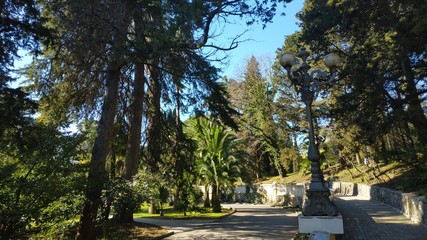 Obraz premium arboretum Sochi, Krasnodar Krai, Russia