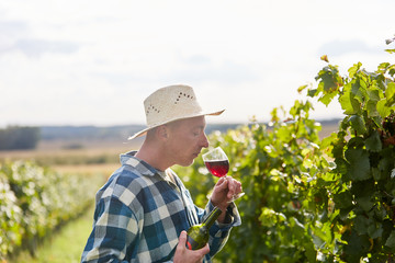  Weinbauer riecht an einem Glas mit Rotwein