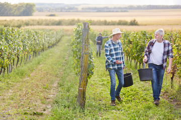 Zwei Erntehelfer sprechen über die Weinlese