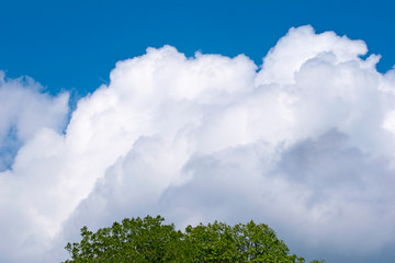 Clouds of cumulus clouds on a blue sky