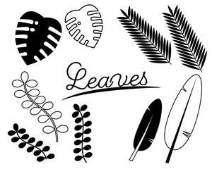 南国の葉っぱのイラスト素材（白黒）