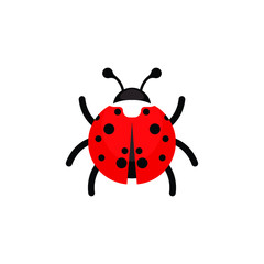 Ladybug or ladybird vector graphic illustration, isolated. Cute simple flat design of black and red lady beetle. vector illustration