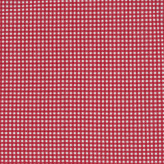 Red checkered tablecloth background texture