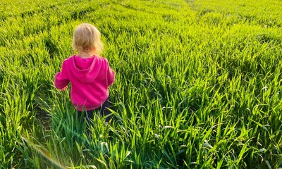 a toddler girl running in green wheat field