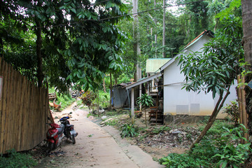 Cabins and motorcycle in the middle of vegetation and a path to the Phi Phi Islands of Thailand