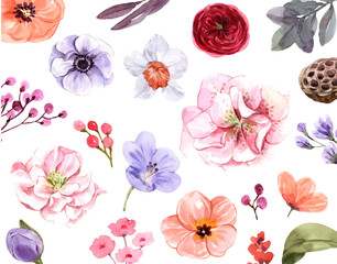 set flower watercolor paint for design vector