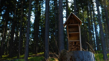 Wooden miniature house on a tree trunk. in the background a green forest