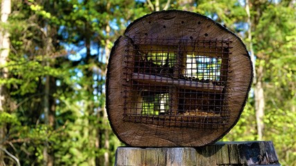 Wooden miniature house on a tree trunk. in the background a green forest