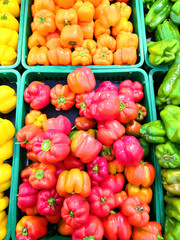 Sweet Colorful Capsicums