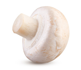 Mushroom isolated. Whole champignon close up on white background