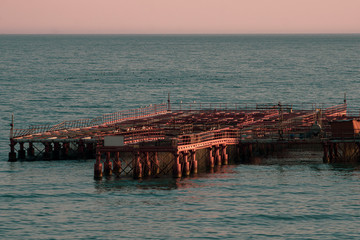 Mussel farm high class growing eco-friendly mussels