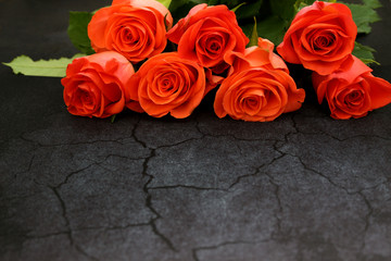 a bouquet of seven scarlet roses lies on a table with a dark background